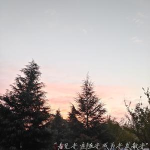 国产熟妇毛多❌❌❌6
