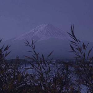 国产熟妇毛多❌❌❌6
